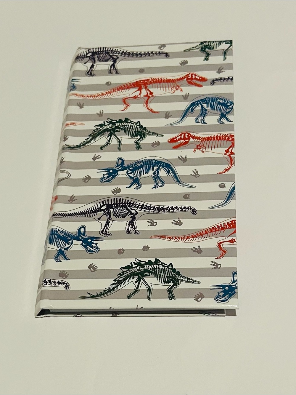 New Dinosaur Sticky Notes 6 Pads in Dinosaur Case